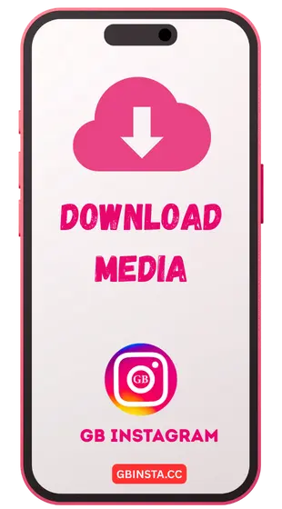 Download Media Instantly